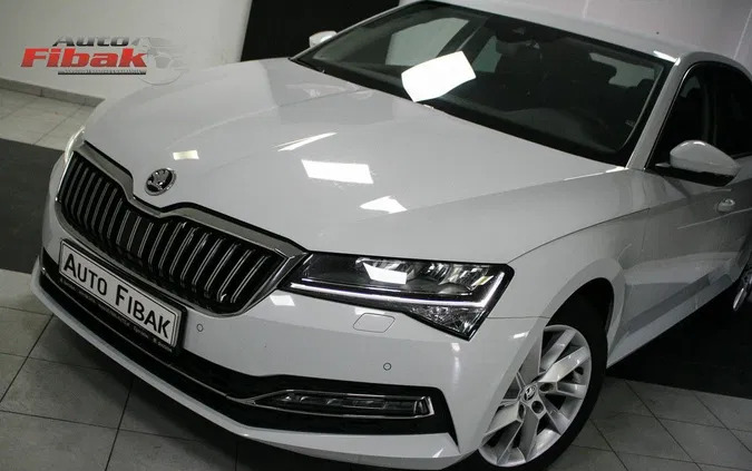 skoda superb Skoda Superb cena 149900 przebieg: 61000, rok produkcji 2022 z Gołańcz